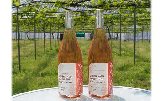 果樹園生まれの 「漆山スパークリングワイン (デラウェア)