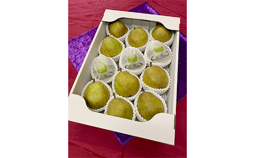 【令和7年産先行予約】 厳選！！大玉ラ・フランス 約5kg (10