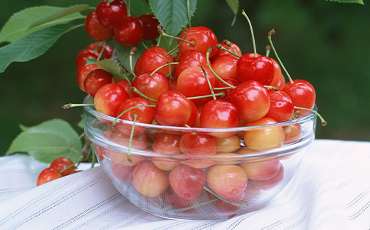 【令和7年産先行予約】 《定期便3回》 おいしいくだもの定