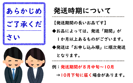 【令和7年産先行予約】 ふじりんご 約3kg (6～10玉 秀) 《令和