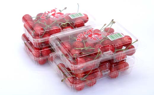 【令和8年産先行予約】 さくらんぼ 「佐藤錦または紅秀峰