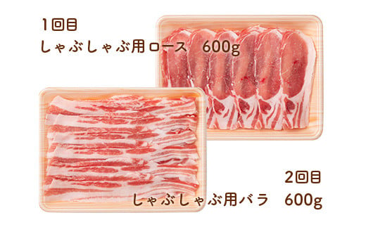 《定期便4回》 山形豚満喫定期便 計2.55kg (しゃぶしゃぶ・生