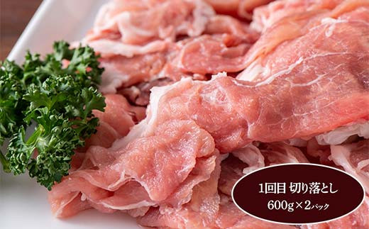 《定期便5回》 米澤豚一番育ち 満喫定期便 5回 ブランド豚 