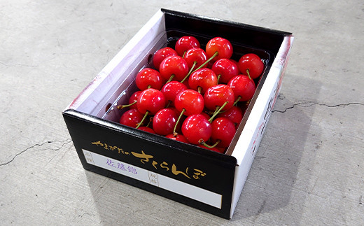 【令和8年産先行予約】 《定期便2回》 さくらんぼ食べ比べ