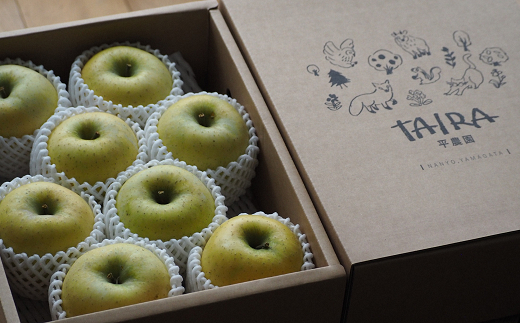 【令和7年産先行予約】 〈訳あり品 家庭用〉 りんご 「シナ