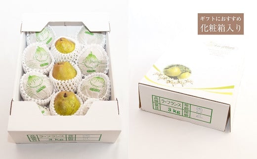 【令和7年産先行予約】 ラ・フランス 化粧箱入 約3kg (8～12