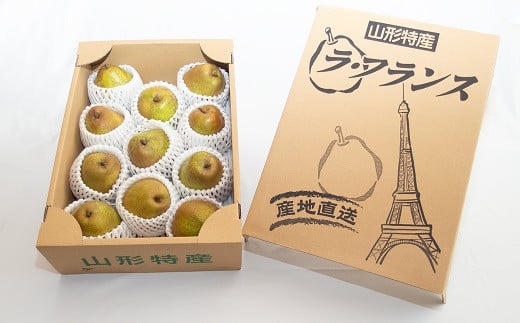 【令和7年産先行予約】 ラ・フランス 約3kg (8～12玉 秀 L～2L)