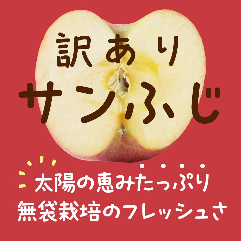 【令和7年産先行予約】 〈訳あり品 家庭用〉 りんご 「サン