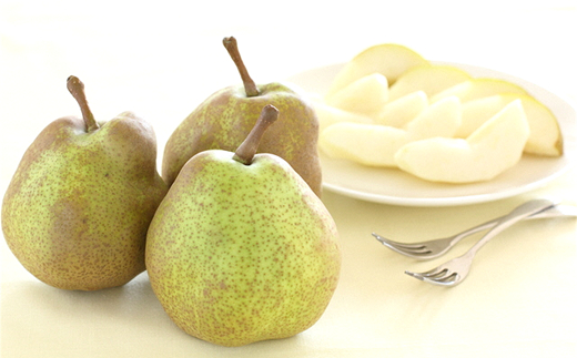 【令和8年産先行予約】 ラ・フランス 約3kg (6～14玉 秀) 《令