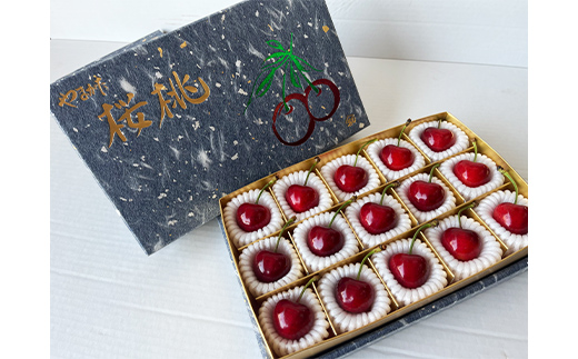 【令和8年産先行予約】 【農林水産大臣賞受賞農家】 さく