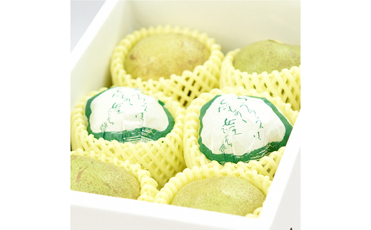 【令和7年産先行予約】 ラ・フランス 計約4kg (12～14玉 特秀 