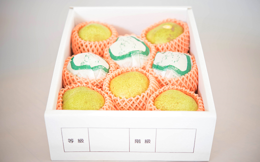 【令和7年産先行予約】 ラ・フランス 約3kg (8～11玉 特秀 2～