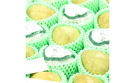 【令和7年産先行予約】 ラ・フランス 約5kg (15～18玉 特秀 2