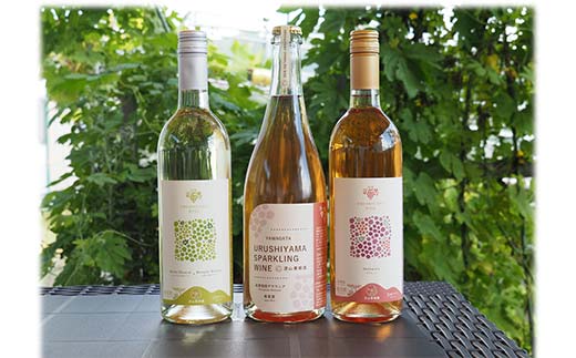 果樹園生まれの 漆山果樹園ワイン 「漆山ワイン (デラウェ