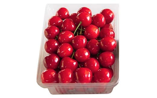 【令和7年産先行予約】 さくらんぼ 「紅秀峰」 約500g (特秀 