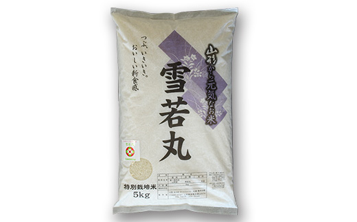 【金賞受賞農家】 令和7年産 特別栽培米 雪若丸 5kg 『あお