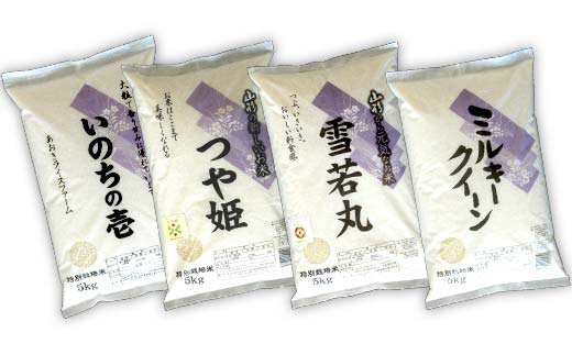 《定期便3回》 令和7年産 金賞受賞農家のお米(特別栽培米) 4