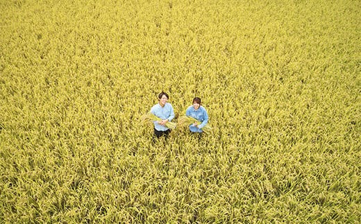 【令和7年産 新米 先行予約】 特別栽培米 ゆうだい２１ 計10