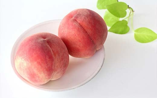 【令和8年産先行予約】 もも「美郷・あかつき・まどか 等