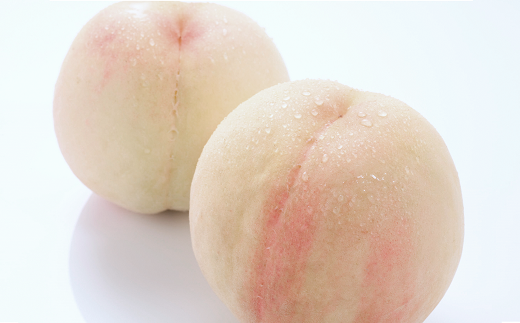 【令和7年産先行予約】《定期便3回》 おいしい山形のくだ