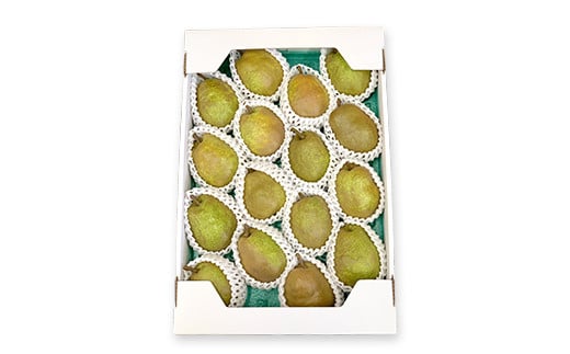 【令和7年産先行予約】 山形県産 ラ・フランス 約5kg詰め (12