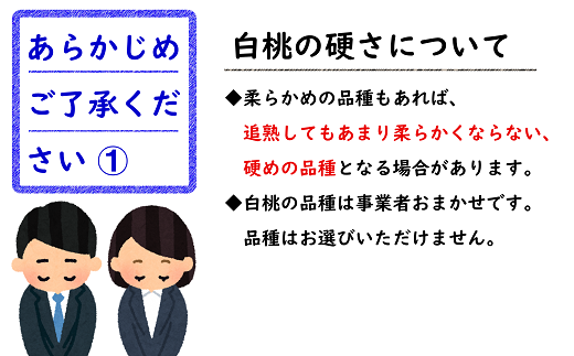 【令和7年産先行予約】 《定期便5回》 フルーツ王国の人気
