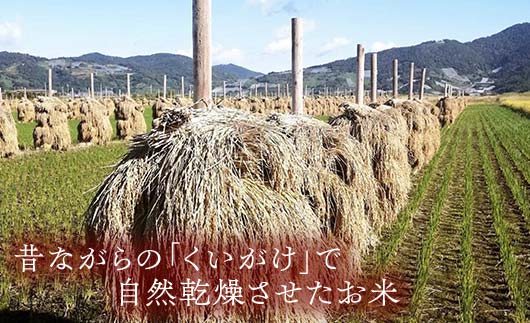 【わら屋のお米】 令和7年産 特別栽培米3種セット 「はえぬ