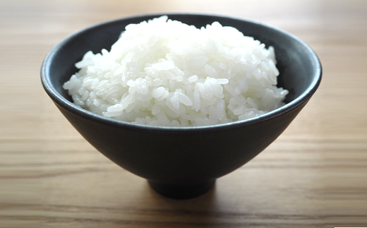 特別栽培米 ゆうだい21 計10kg (5kg×2袋) 『平農園』 山形南陽