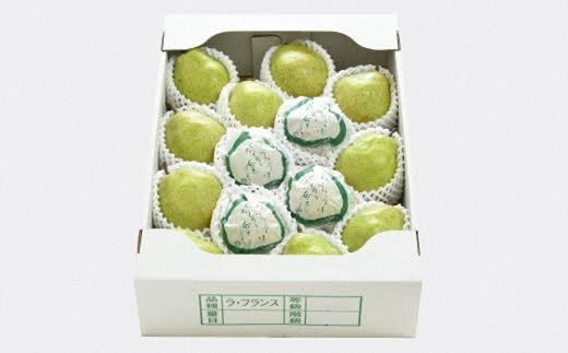 【令和7年産先行予約】 【ネオニコフリー】 大玉 ラ・フラ