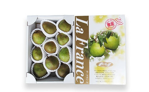 【令和7年産先行予約】 ラ・フランス 約3kg (10～11玉 秀 3L以