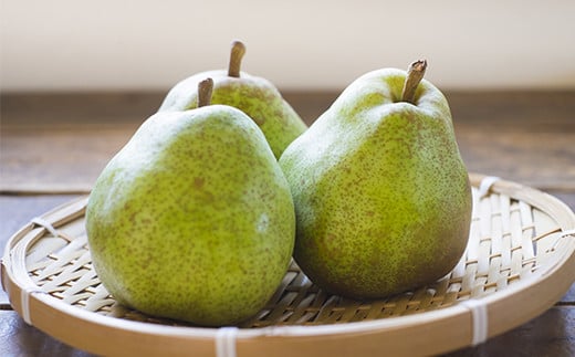 【令和7年産先行予約】 JA 大玉 ラ・フランス 約5kg ( 8～12玉 