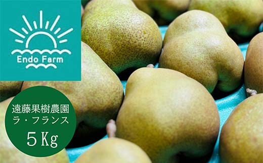 【令和7年産先行予約】 【ネオニコフリー】 〈家庭用〉 ラ