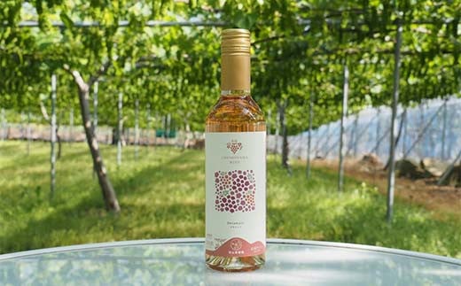 漆山果樹園ミニドリンクセット 「漆山ワイン ＆ 果汁100%ジ