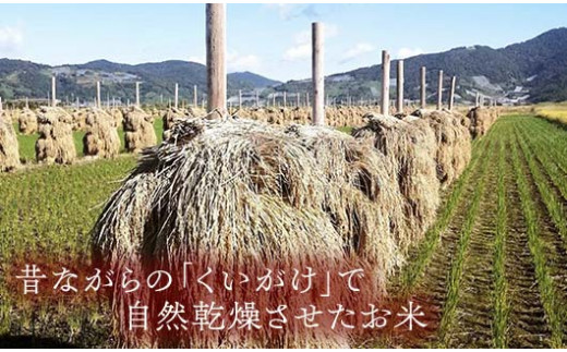 【令和7年産 新米 先行予約】 【わら屋のお米】 特別栽培米