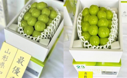 【令和8年産先行予約】 【山形県ぶどう品評会 最優秀賞受