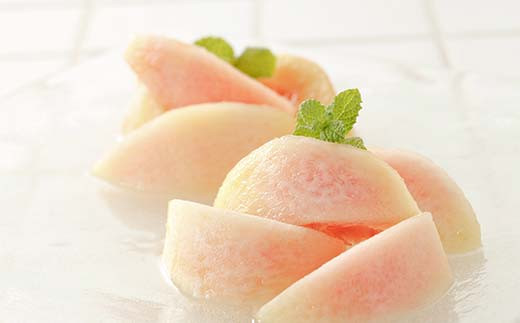 【令和8年産先行予約】 もも「清水白桃」 約3kg (11～15玉 特