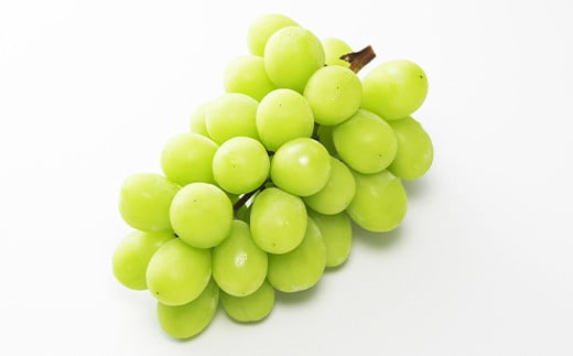 【令和8年産先行予約】 シャインマスカット 約4kg (5～8房 秀