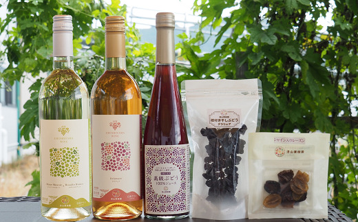 【令和8年産先行予約】 《定期便3回》 ぶどう三昧 定期便 