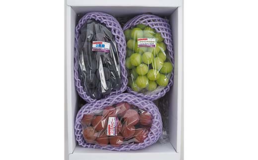 【令和8年産先行予約】 高級ぶどう 種なし品種 3房詰合せ 