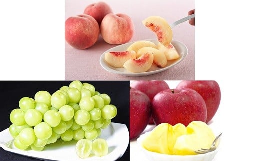 【令和8年産先行予約】 《定期便3回》 秋冬フルーツの美味