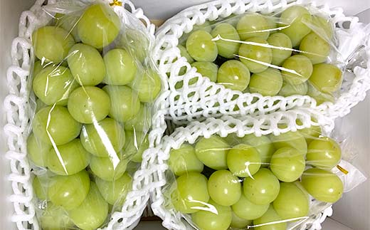 【令和8年産先行予約】 シャインマスカット 1.8kg前後 (3～4