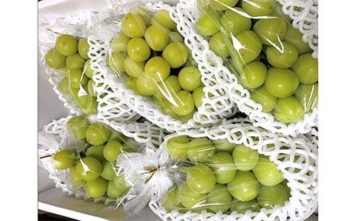 【令和8年産先行予約】 シャインマスカット 3kg前後 (5～6房