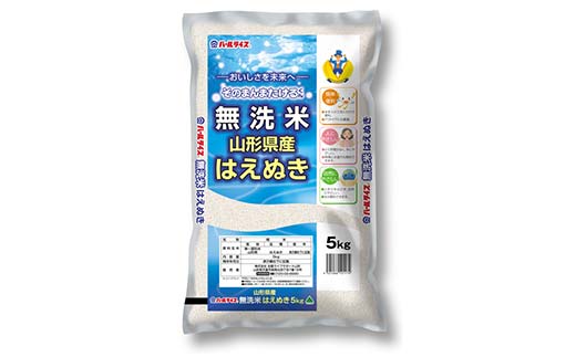 【令和7年産】 JA 無洗米 はえぬき 10kg (5kg×2袋) 『JA山形おき