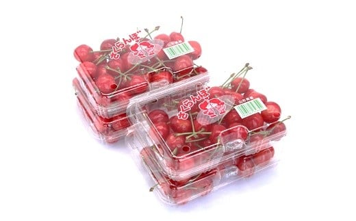 【令和8年産先行予約】 さくらんぼ 「佐藤錦または紅秀峰