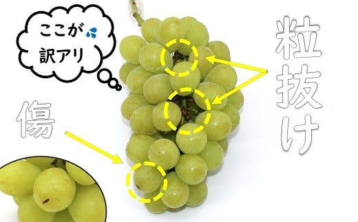 【令和7年産先行予約】 〈訳あり品 家庭用〉 冬のシャイン