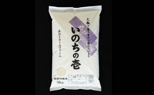 【金賞受賞農家】 令和7年産 特別栽培米 いのちの壱 計10kg (