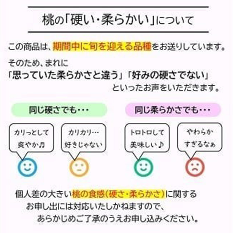 【令和8年産先行予約】 JA もも 「川中島」 約3kg (8～11玉) 化