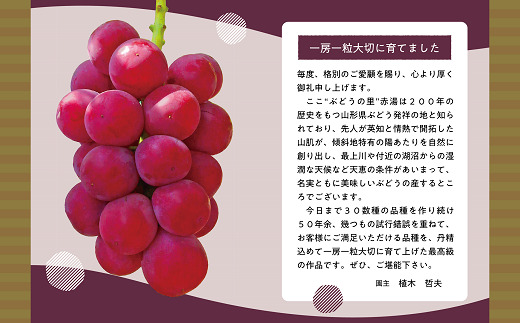 【令和8年産先行予約】 大粒ぶどう3種プレミアムセット 4房