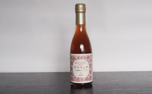 果樹園生まれの 無添加ギフトセット 『漆山果樹園』 山形