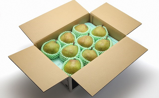 【令和7年産先行予約】 ラ・フランス 約3kg (6～10玉 秀) 《令